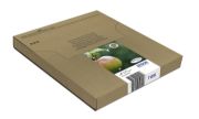 Image de Epson Apple Multipack 4-colours T129 EasyMail (C13T12954511)
