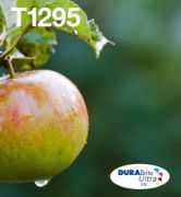 Image de Epson Apple Multipack 4-colours T129 EasyMail (C13T12954511)