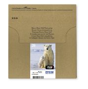 Image de Epson Polar bear Multipack 4-colours 26 EasyMail (C13T26164511)