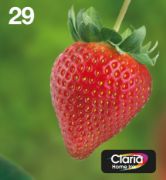 Image de Epson Strawberry Multipack EasyMail "Fraise" 29 - Encre Claria Home N,C,M,J (C13T29864511)