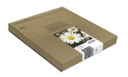 Image de Epson Daisy Multipack EasyMail "Pâquerette" 18 - Encre Claria Home N,C,M,J (C13T18064511)