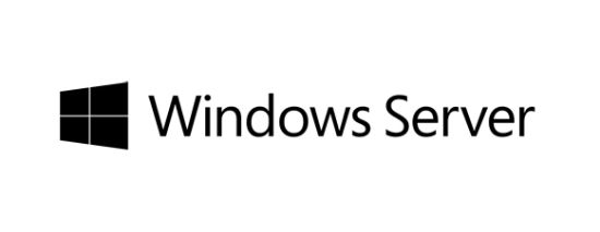 Image de HP Windows Server 2019 Essentials (P11070-051)