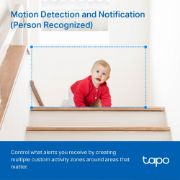 Image de TP-Link Sphérique Caméra de sécurité IP Intérieure 1920 x 1080 pixels Bureau (TAPO C200P2)