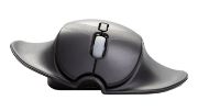 Image de BakkerElkhuizen HandshoeMouse Shift Bluetooth souris Bureau Ambidextre Optique 1000 DPI (BNEPS210RLW)