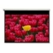 Image de Optoma Pantalla 16:9 2656 x 1494mm écran de projection (DE-9120EGA)