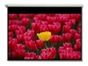 Image de Optoma Pantalla 16:9 2656 x 1494mm écran de projection (DE-9120EGA)