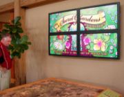 Image de Ergotron Série WM Low Profile Wall Mount Standard TV - Argent (60-604-003)