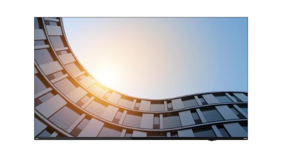 Image de Lenovo ThinkVision E65 LFD écran plat de PC 163,8 cm (64.5") 3840 x 2160 pixels 4K Ultra HD LCD Noir (64ACGAT1EK)