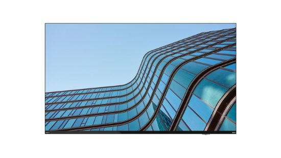 Image de Lenovo ThinkVision E55 LFD écran plat de PC 138,7 cm (54.6") 3840 x 2160 pixels 4K Ultra HD IPS Noir (64A9GAT1EK)