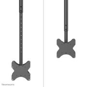 Image de Neomounts Support de plafond pour double écran 23-43" - h106-156 cm (CL35-340BL22)