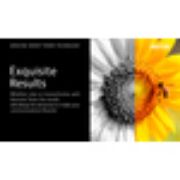 Image de Xerox Cartouche de toner Magenta de Grande capacité Imprimante couleur ® C230?/?multifonctions ® C235 (2500 pages) - (006R04393)