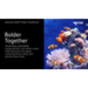 Image de Xerox Cartouche de toner Magenta de Capacité standard Imprimante couleur ® C230?/?multifonctions ® C235 (1500 pages) - (006R04385)