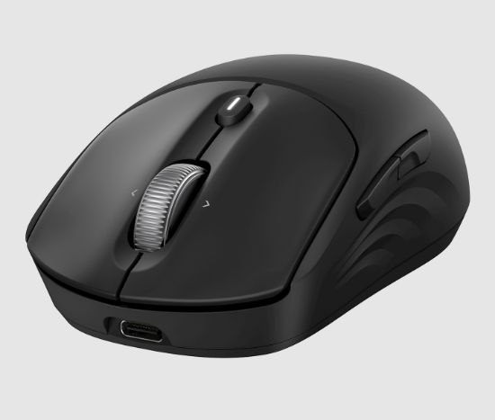 Image de HP 705 Rechargeable Wireless Mouse EMEA souris (AZ7B1AA#ABB)