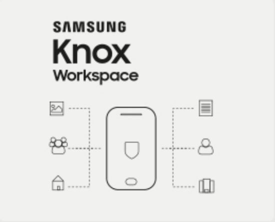 Image de Samsung KNOX Workspace Container - License (1 year) + Full support 1 année(s) (MI-OSKP101WWT2)
