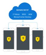 Image de Samsung KNOX Workspace Container - License (1 year) + Full support 1 année(s) (MI-OSKP101WWT2)