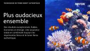 Image de Xerox Cartouche de toner Magenta de Capacité standard Imprimante couleur ® C410?/?multifonctions ® VersaLink® C415 (2000 pages) - (006R04679)