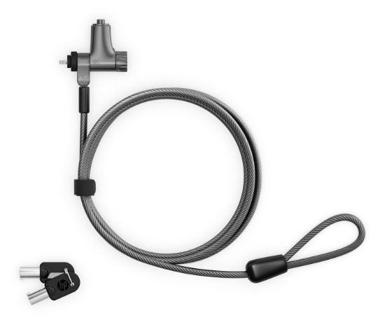Image de HP Câble antivol universel avec clé (C6CQ2AA)