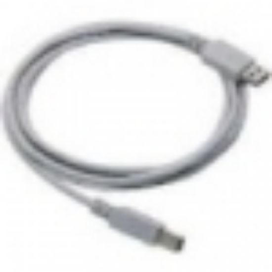 Image de Datalogic Straight Cable - Type A USB Câble USB (CAB-438)