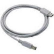 Image de Datalogic Straight Cable - Type A USB Câble USB (CAB-438)