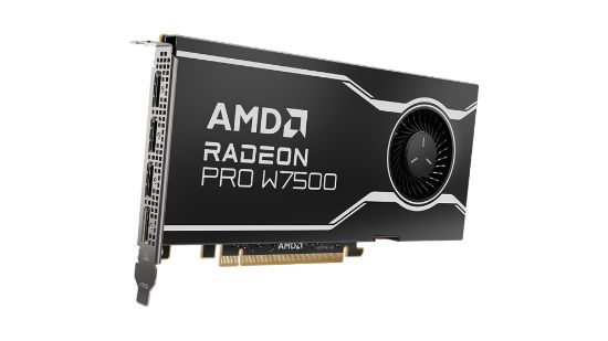 Image de AMD Radeon Pro W7500 Carte graphique (100-300000078)