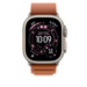 Image de Apple Boucle Alpine terracotta 49 mm - Medium - Finition titane naturel - Marron (MFTC4ZM/A)