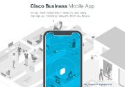 Image de Cisco  point d'accès réseaux locaux sans fil 867 Mbit/s Gris Connexion Ethernet, supportant l'alimentation via ce port (PoE) (CBW145AC-E)