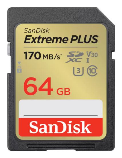 Image de Sandisk 64GB, SDXC, UHS-I, U3, V30 Mémoire flash - Noir,Or (SDSDXW2-064G-GNCIN)