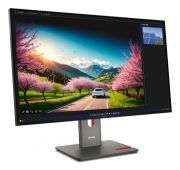 Image de Lenovo ThinkVision P32UD-40 Moniteur (64A8XAT2EU)