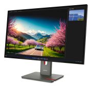 Image de Lenovo ThinkVision P32UD-40 Moniteur (64A8XAT2EU)