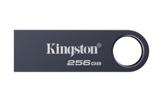 Image de Kingston Technology DataTraveler 256 Go SE9 G3 - Nickel foncé (KE-U2X256-1AC)