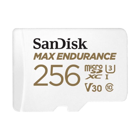 Image de SanDisk MAX ENDURANCE Mémoire flash - Blanc (SDSQQVR-256G-GN6IA)