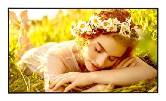 Image de LG Écran d'affichage dynamique Écran plat de signalisation numérique 190,5 cm (75") LED Wifi 500 cd/m² 4K Ultra HD Noir WebOS 24/7 (75UL5Q-E)