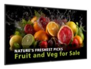 Image de Philips 5000 series Écran d'affichage dynamique 2,49 m (98") LCD Wifi 600 cd/m² Full HD Noir Intégré dans le processeur Android (98BDL5050D/00)