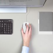 Image de Logitech M100 souris Bureau Ambidextre USB Type-A Optique 1000 DPI (910-006764)