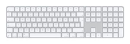 Image de Apple Magic - QWERTY Clavier - Blanc (MXK73Z/A)