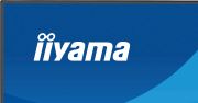 Image de iiyama ProLite écran plat de PC 60,5 cm (23.8") 1920 x 1080 pixels Full HD LCD Noir (X2491HS-B1)