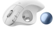 Image de Logitech Ergo M575S souris Bureau Droitier RF sans fil + Bluetooth Trackball 2000 DPI (910-007030)