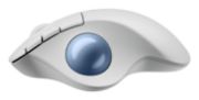 Image de Logitech Ergo M575S souris Bureau Droitier RF sans fil + Bluetooth Trackball 2000 DPI (910-007030)