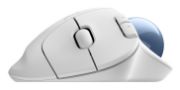 Image de Logitech Ergo M575S souris Bureau Droitier RF sans fil + Bluetooth Trackball 2000 DPI (910-007030)