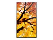 Image de Sharp MultiSync M502 Écran plat de signalisation numérique 127 cm (50") LCD 550 cd/m² 4K Ultra HD Noir 24/7 (60006054)