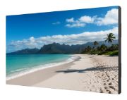 Image de Sharp PN-UN553S LCD Intérieure (60006188)