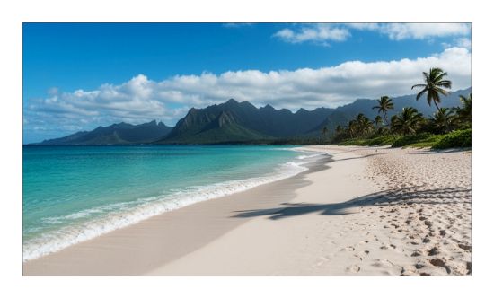 Image de Sharp PN-UN553V LCD Intérieure (60006189)