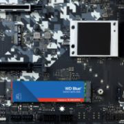 Image de Western Digital Blue SA510 SSD (WDS200T3B0B)