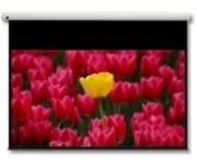 Image de Optoma Panoview 16:9 106" écran de projection (DE-9106EGA)