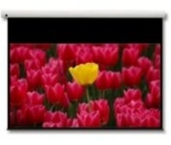 Image de Optoma Panoview 16:9 106" écran de projection (DE-9106EGA)