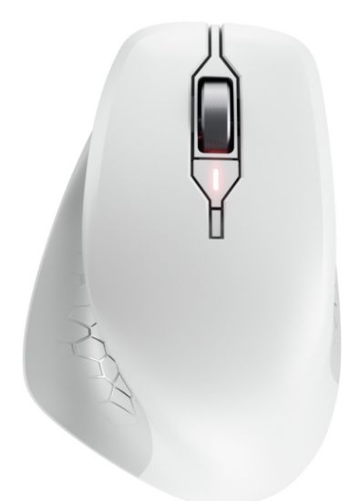 Image de CHERRY souris Universel Droitier RF sans fil Optique 4000 DPI (JW-8550-0)