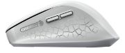 Image de CHERRY souris Universel Droitier RF sans fil Optique 4000 DPI (JW-8550-0)