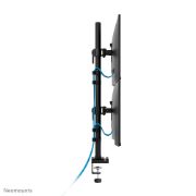 Image de Neomounts Bras de moniteur double 10-32" (DS60-600BL2V)