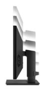 Image de LG PC tout en un/station de travail Intel® Pentium® N6005 60,5 cm (23.8") 1920 x 1080 pixels PC All-in-One 8 Go DDR4-SDRAM 256 Go SSD Windows 10 IoT Enterprise Wi-Fi 6 (802. ... (24CQ651W-BP)