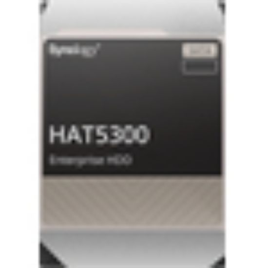 Image de Synology HAT5300 3.5" 12 To Série ATA III (HAT5300-12T)